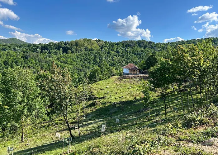 Sumska Kuca Ilija * Bogutovac