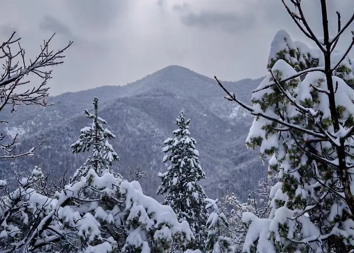 Sumska Kuca Ilija Bogutovac
