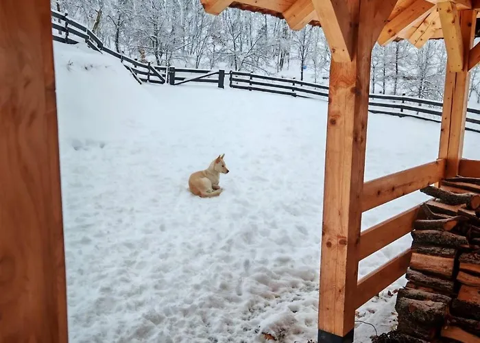 Sumska Kuca Ilija Bogutovac