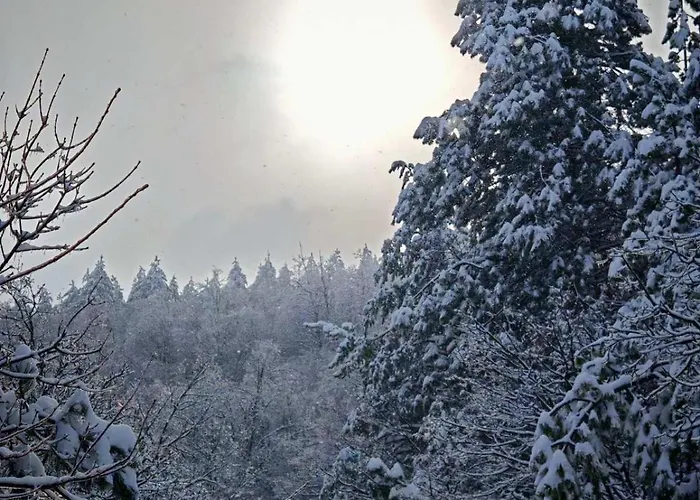 Sumska Kuca Ilija Feriehus Bogutovac