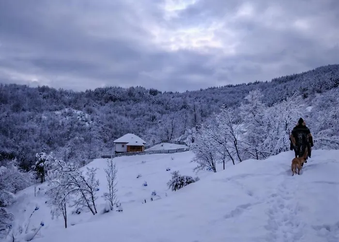 Sumska Kuca Ilija * Bogutovac