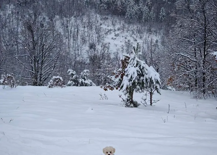 Sumska Kuca Ilija Feriehus Bogutovac